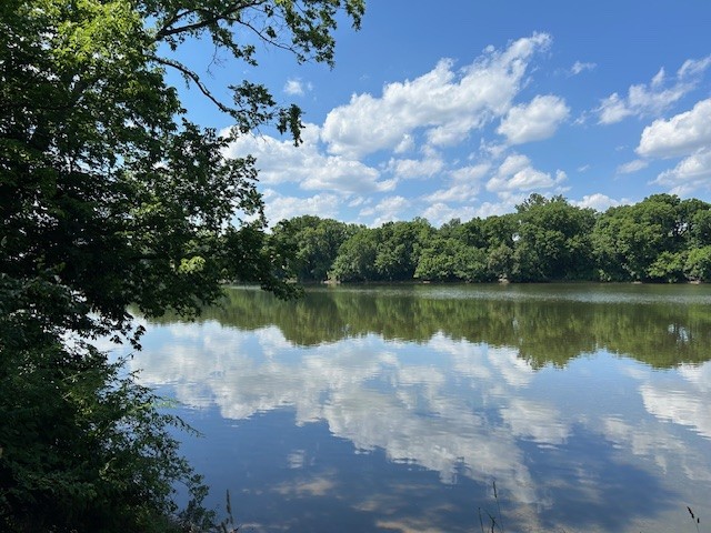 Will You Picture Your Future for Business Growth?