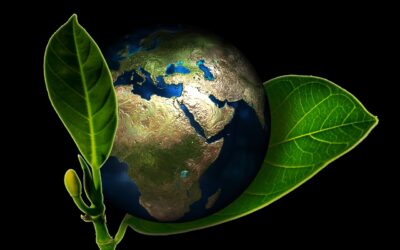 How to Include Eco-Friendly Practices for Consumer Growth