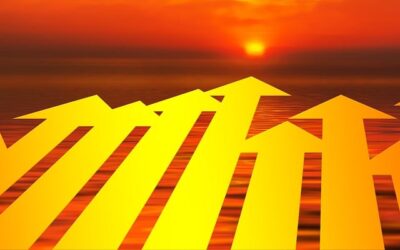 One Journey for Unlocking Business Growth and Success