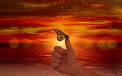 Moving From Anxiety to A Better Path Forward