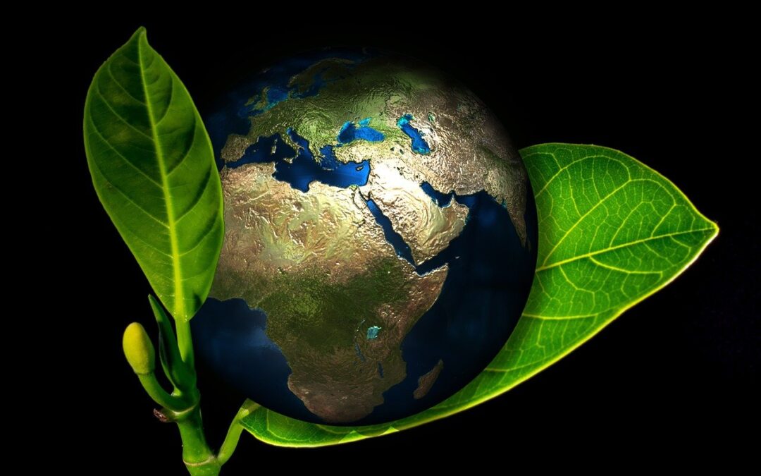 Being eco-friendly can help combat climate change.