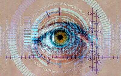 How To Improve The Digital Security Of Your Business