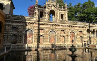 Will You Create Fond Experiences for Business Growth?