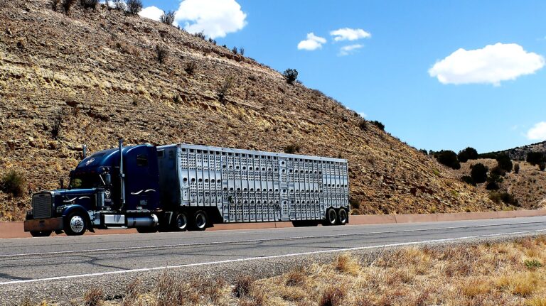 Each shipment requires cares and thought upfront to ensure a satisfied clientele.